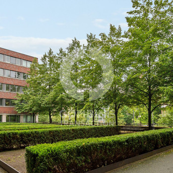 Grüne Oase in P-Berg. combine Transaction.