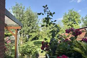 Doppelhaushälfte mit Gartenidylle - Familienglück in ruhiger Feldrandlage – Heinsberg (Kreis) – Vorschaubild 19