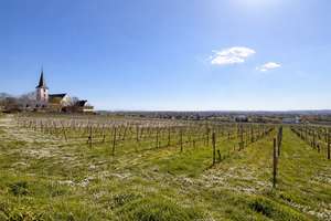 Wohnen über den Weinbergen – Exklusive Architektur trifft auf außergewöhnlichen Ausblick in Hochheim – Die vollständige Adresse der Immobilie erhältst du vom Anbieter., 65239 Hochheim am Main – Vorschaubild 4