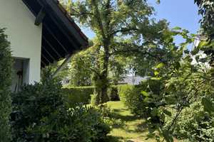 Ensemblehaus Grünwald: Architektonische Besonderheit in begehrter Lage – München (Kreis) – Vorschaubild 27