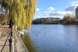 SONNE, GRÜN und WEITBLICK mit 2 TERRASSEN – modernes Wohnen am Park FÜR 2 JAHRE | hohe Decken | EBK – Die vollständige Adresse der Immobilie erhältst du vom Anbieter., 10999 Kreuzberg, Berlin – Vorschaubild 2
