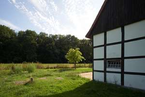 Exklusives Fachwerkhaus im Grünen – Marburg 25, 33378 Rheda-Wiedenbrück – Vorschaubild 21