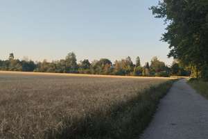 Familienfreundliche Gartenwohnung in begehrter Lage von München Trudering – Die vollständige Adresse der Immobilie erhältst du vom Anbieter., 81827 Waldtrudering, München – Vorschaubild 33