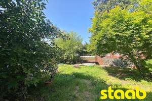 SIEDLUNGSHAUS - 1-2 -FAMILIENHAUS MIT NEBENGEBÄUDE, STELLPLÄTZEN UND GROßEM GARTEN! – Die vollständige Adresse der Immobilie erhältst du vom Anbieter., 63834 Sulzbach am Main – Vorschaubild 24