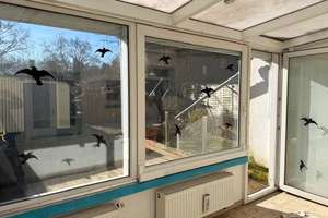 Lichtdurchflutetes Wohnhaus mit Terrasse und sonnigem Südgarten in Mönchengladbach – Die vollständige Adresse der Immobilie erhältst du vom Anbieter., 41236 Heyden, Mönchengladbach – Vorschaubild 3