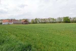 Ländliches Anwesen mit Acker- und Weideflächen in Bönen – Lenningsen / Flierich – Die vollständige Adresse der Immobilie erhältst du vom Anbieter., 59199 Bönen – Vorschaubild 73