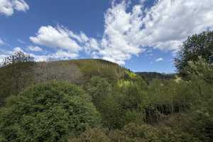 Schöne Doppelhaushälfte mit ca.125 m² Wohnfläche und toller Aussicht in die Harzer Berge – Goslar (Kreis) – Vorschaubild 8