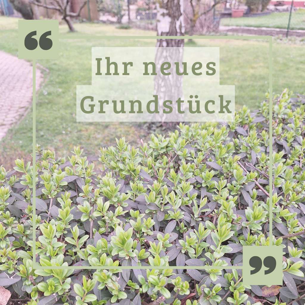 Nur noch zwei freie Grundstücke! Bauen Sie jetzt IHR neues Haus!