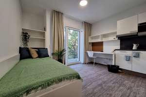 Schönes 1-Raumapartment zur Miete in Leipzig Connewitz - Wentzel Dr. - 