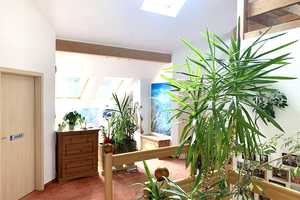 ZUM TOP PREIS!  284 m² grosses Einfamilienhaus mit 10 Zimmer`* Gute Lage * In direkter Waldnähe! * – Enzkreis – Vorschaubild 8