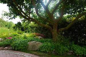 Großes Einfamilienhaus mit Gartenparadies im Wendland – Lüchow-Dannenberg (Kreis) – Vorschaubild 11
