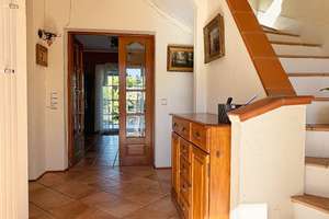 ☀️🍇  La Dolce Vita am Weinberg ! – 55232 Alzey – Vorschaubild 3