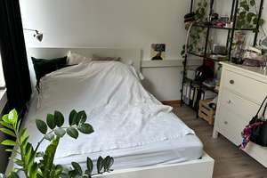 Helle Wohnung mit Pantry-Küche, 2-er WG geeignet zentral und dennoch ruhig – 55116 Altstadt, Mainz – Vorschaubild 6