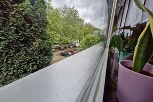 Möblierte Haus mit großer Nutzfläche/Terrasse ohne Nachbarn zu vermieten – Hundebrinkstraße 24, 45326 Altenessen-Süd, Essen – Vorschaubild 37