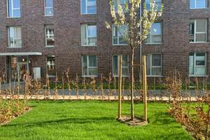 Geschmackvolle möblierte Erdgeschosswohnung mit drei Zimmern sowie Terasse/Garten/EBK in Hannover – Hebbelstraße 34, 30177 List, Hannover – Vorschaubild 3