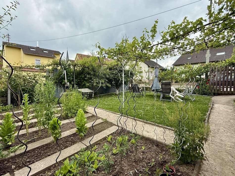 photo_2025-06-07_15-50-04