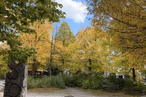 Property thumbnail 15