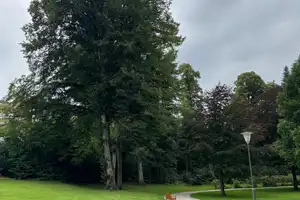 Property thumbnail 11