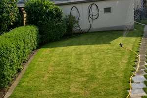 Platz für neue Ideen: 3-Zimmer-Wohnung mit Garten,Terrasse,Garage und großem Keller