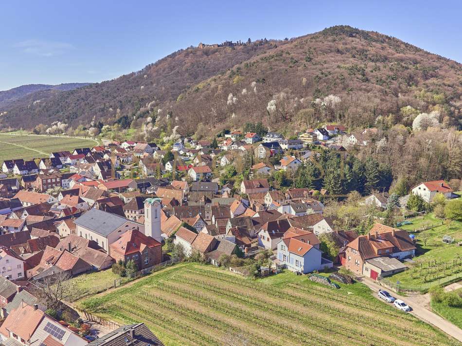 Vogelperspektive