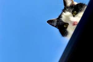 Property thumbnail 23