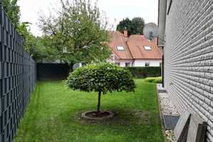 Geräumiges, günstiges 5-Zimmer-Einfamilienhaus mit gehobener Innenausstattung in Espelkamp – Frothemer Weg 136, 32339 Minden-Lübbecke (Kreis) – Vorschaubild 31