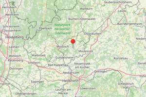 Charmantes Zweifamilienhaus auf großem Aussiedlerhof-Grundstück – Die vollständige Adresse der Immobilie erhältst du vom Anbieter., 74842 Billigheim – Vorschaubild 27