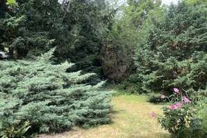Gartenoase im Westend - Erdgeschosswohnung mit eigenem Garten und Tiefgarage – 63067 Ledermuseum, Offenbach am Main – Vorschaubild 6