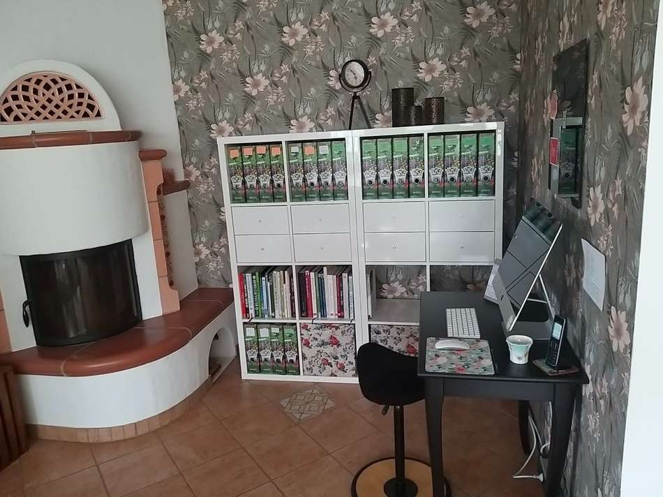 Wohnbereich mit Kamin