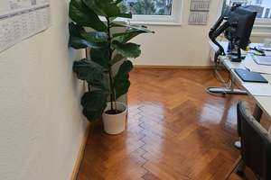 Leipzig (Eutritzsch) Sanierungsobjekt oder Potential durch Abriss+Neubau - 90% bereits leerstehend – Die vollständige Adresse der Immobilie erhältst du vom Anbieter., 4129 Eutritzsch, Leipzig – Vorschaubild 6