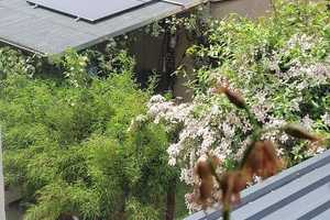 Charmante Doppelhaushälfte in Burgstädt - Haus mit Garten, Garage & Kamin – Mittelsachsen (Kreis) – Vorschaubild 17
