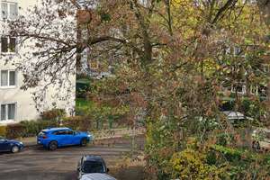 Schöne helle Wohnung in Düsseldorf-Holthausen, 2 Zimmer, Echtholzparkett, Stellplatz möglich – Meyerhofstr. 1, 40589 Holthausen, Düsseldorf – Vorschaubild 12