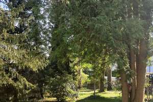 Reserviert!!! Ruhig gelegenes 1-Zimmer-Apartment mit Potential im Fasangarten! – Die vollständige Adresse der Immobilie erhältst du vom Anbieter., 81549 Südgiesing, München – Vorschaubild 2