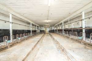 Tradition trifft Potenzial Resthof auf ca. 3.100 m² Grundstück in Grabau – Die vollständige Adresse der Immobilie erhältst du vom Anbieter., 21493 Grabau – Vorschaubild 21