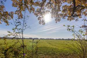 Platz satt, Feldblick gratis, Elmshorn direkt ums Eck! – Die vollständige Adresse der Immobilie erhältst du vom Anbieter., 25335 Altenmoor – Vorschaubild 17