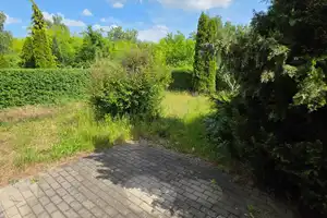Wohnoase im Grünen – Charmantes Einfamilienhaus in idyllischer Umgebung – Barnim (Kreis) – Vorschaubild 15