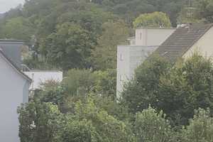 6 Wohnungen, Mehrfamilienhaus in Bonn Bad Godesberg – Truchseßstraße 91, 53175 Bonn – Vorschaubild 10