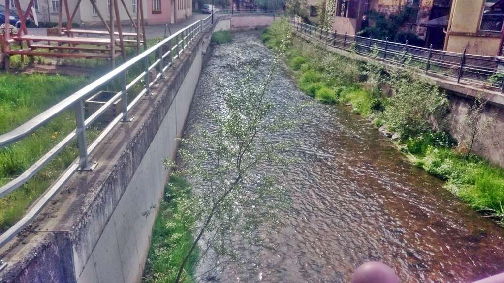 IHR IDYLL AM BACH ! - Malerisches Wohn- & Geschäftshaus, Stadtroda bei Jena, Saale Holzland Kreis – Bild 4