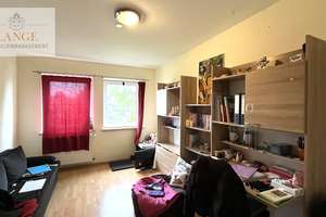  MFH-HAUS IN RODEWALD ZU VERKAUFEN – Die vollständige Adresse der Immobilie erhältst du vom Anbieter., 31637 Rodewald – Vorschaubild 32