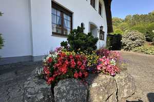 / Einzigartiger Wohntraum trifft Naturidylle in Alt-Arnsberg! – Hochsauerlandkreis – Vorschaubild 3