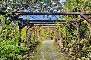 Charmantes und großzügiges Einfamilienhaus mit wunderschönem Blick über die Weinberge in Weyher – Südliche Weinstraße (Kreis) – Vorschaubild 17