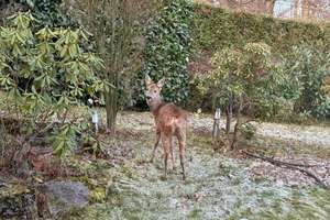 Property thumbnail 16