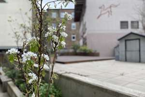 Neckarstadt-Ost: Stilvolle, neuwertige 5-Zimmer Maisonette-Wohnung, 2 Balkone + Terrasse – Eichendorffstraße 2-4, 68167 Neckarstadt-Ost/Wohlgelegen, Mannheim – Vorschaubild 32