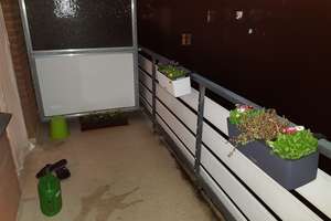 Helles 1-Zimmer-Apartment mit Balkon im Kreuzviertel – ca. 30 m² – Melchersstraße 31, 48149 Kreuz, Münster – Vorschaubild 2