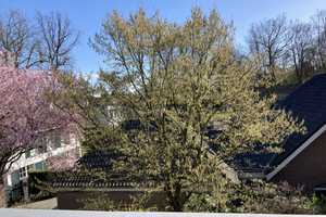 Geräumige, neuwertige 8-Zimmer-Villa mit luxuriöser Innenausstattung in Gütersloh – Gütersloh (Kreis) – Vorschaubild 18