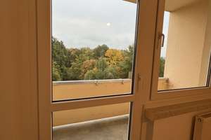 Hier wird jeder zum Sternekoch! - gemütliche 3 Zimmer mit Balkon & EBK – Wolgograder Allee 72, 9123 Hutholz, Chemnitz – Vorschaubild 7