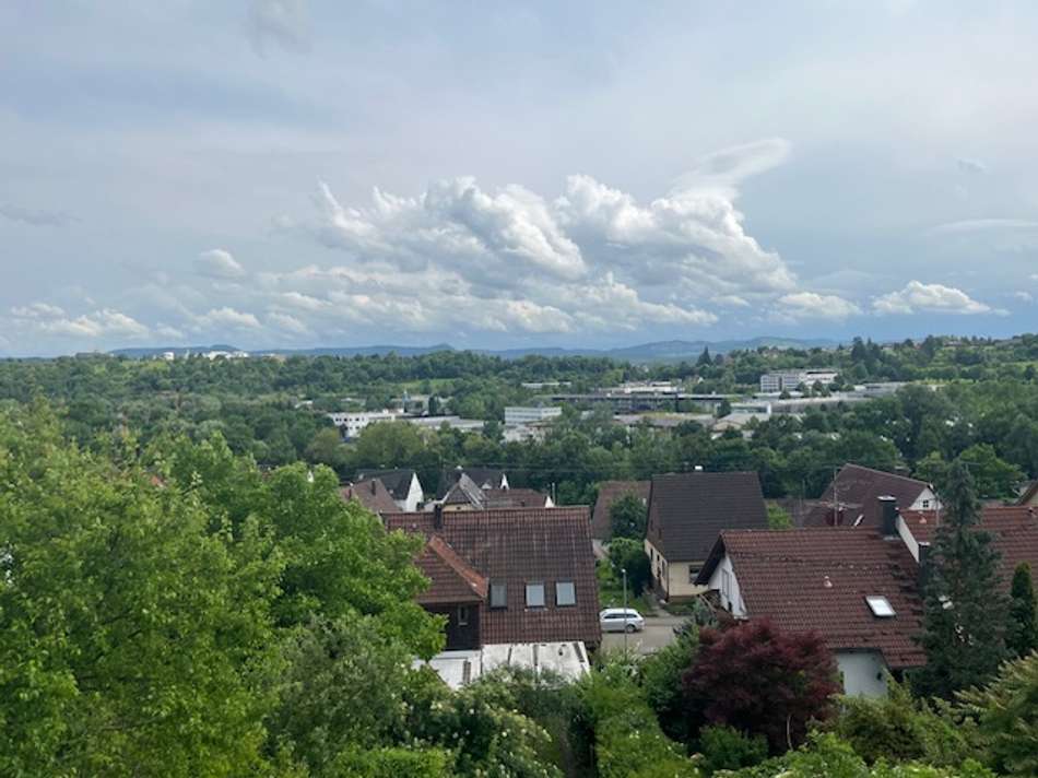 Ausblick