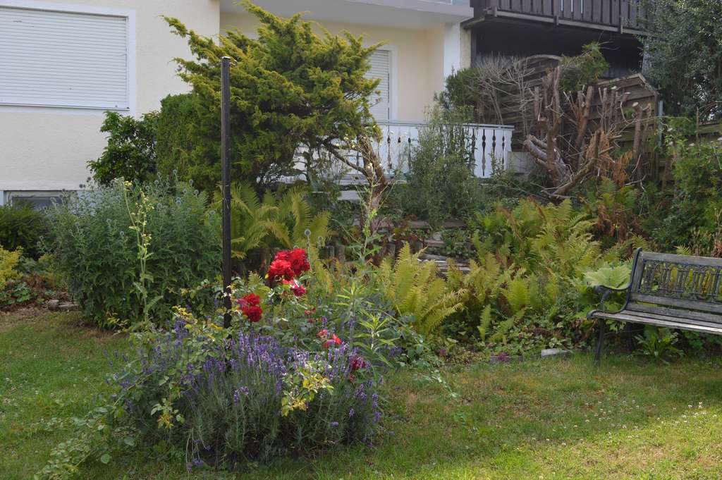 Immobilie in Vöhringen - Geräumiges 9-Zimmer Haus mit Garage in Vöhringen - Bild 3