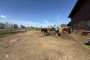 ***Mehrfamilienhaus & Exklusiver Pferdehof mit Reitanlage auf ca 21.000 m² Grundstück*** – Die vollständige Adresse der Immobilie erhältst du vom Anbieter., 37574 Einbeck – Vorschaubild 25