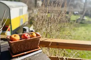 Neuwertiges Haus mit Naturgarten - Nachhaltigkeit und Luxus in Berlinnähe - Müncheberg! – Märkisch-Oderland (Kreis) – Vorschaubild 44